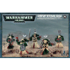 Dark Angels Veteran Space Marines