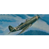 Micro Wings P-39Q Airacobra