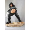 Marvel X-Force Fine Art Statue 1/6 Warpath 30 cm