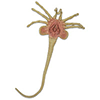 Aliens - Facehugger Life-Size Foam Prop Replica (106 cm)