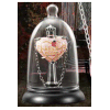 Harry Potter Love Potion Pendant and Display