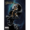 MARVEL STORM