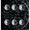 Speckled D6 12mm (36 Dice) Ninja?