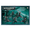 Dark Eldar Hellions