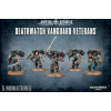 Deathwatch Vanguard Veterans