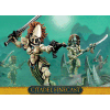 Craftworlds Howling Banshees