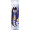 Cinderella Ballpen Case (12)