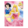 Disney deka iz flisa Princesses