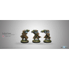 The Scots Guards, 6th Caledonian Infantry Regiment (ML)