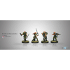 9th Wulver Grenadiers Regiment