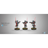 Knight Hospitaller (HMG)
