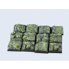 Spooky Bases - 20x20mm (5)