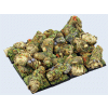 Forest Bases - 25x25mm (4)
