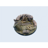 Trench Bases - Round 60mm (1) #1