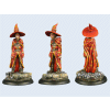 Discworld Miniature Rincewind (1)
