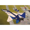 MiG-29 The Swifts