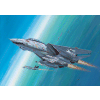 F-14D Super Tomcat