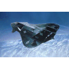 F-19 Stealth Fighter