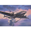 `Junkers Ju 290 A-7 `Spy Version`