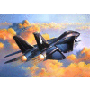 Grumman F-14A Black Tomcat
