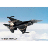 F-16 C SOLO T?RK