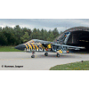 Tornado Lechfeld Tiger 2011