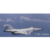 F-101B VOODOO