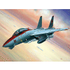 MiniKit F-14 Tomcat