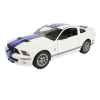 Model Set Shelby GT 500