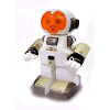 Robot Echo Bot