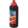 Cars Water Bottle Characters