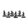 Satyxis Raider Unit