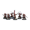 Praetorians Unit Box