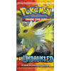Pokemon HS Undaunted Boosters