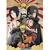 NARUTO SHIPPUDEN - poster - Shippuden Group 2 (52x38)