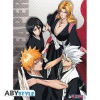 BLEACH - Poster Soul Reaper (52x38) *