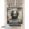 HARRY POTTER - poster - Wanted Sirius Black (98x68)