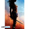 DC COMICS - poster - Wonder Woman Movie (91.5x61)