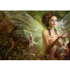 Fairies