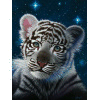 Mladi Tiger