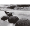 Prostranost