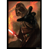 SW: Power of the Dark Side Art Sleeves Display