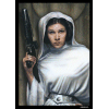 SW: Princess Leia Art Sleeves Display